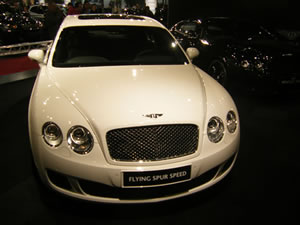 Vienna Autoshow 2010 am 16.01.2010-DSCF6399.jpg