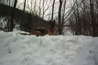 3. Volvofan.at (Winterausfahrt) am 14.02.2004-50_annaberg.jpg