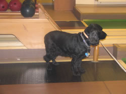 5. Volvofan.at Ausfahrt am 21.05.2005-va05_325.jpg