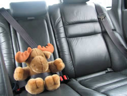 6. Volvofan.at Ausfahrt am 29.04.2006-2_015.jpg