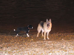 8. Volvofan.at Ausfahrt 13. und 14.10.2007-volvoausfahrt08_155.jpg