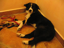 8. Volvofan.at Ausfahrt 13. und 14.10.2007-volvoausfahrt08_225.jpg