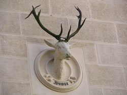 8. Volvofan.at Ausfahrt 13. und 14.10.2007-volvoausfahrt08_330.jpg