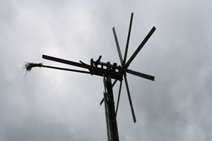 9. Volvofan.at Ausfahrt am 25.06.2001-volvoausfahrt9_0690.jpg